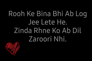 Rooh Ke Bina Bhi Ab Log Jee Lete He.
Zinda Rhne Ko Ab Dil Zaroori Nhi.
