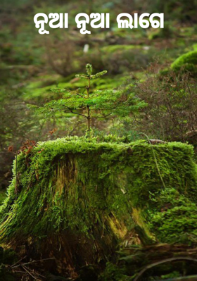 ନୂଆ ନୂଆ ଲାଗେ