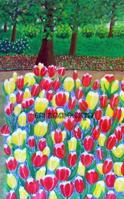 ମୋ ଅଗଣା ତାରାଫୁଲ