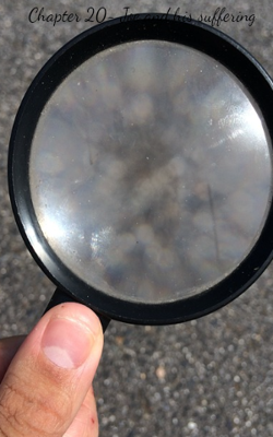 Chapter 20- Joe And His Suffering