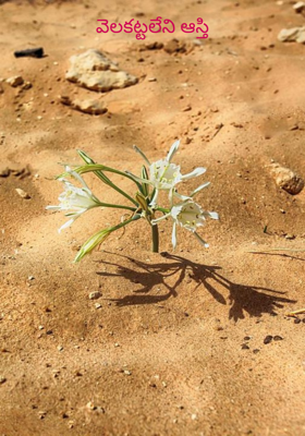 వెలకట్టలేని ఆస్తి