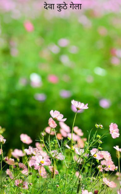 देवा कुठे गेला