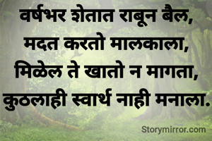 वर्षभर शेतात राबून बैल,
मदत करतो मालकाला,
मिळेल ते खातो न मागता,
कुठलाही स्वार्थ नाही मनाला.