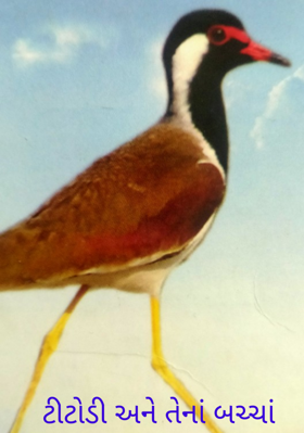 ટીટોડી અને તેનાં બચ્ચાં