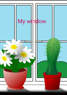My Window
