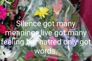 Silence got many meanings,live got many feeling but hatred only got words.