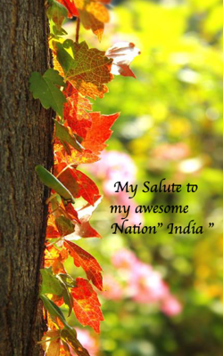 My Salute to my awesome Nation" India "