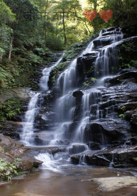 जीवन दान... ❤❤