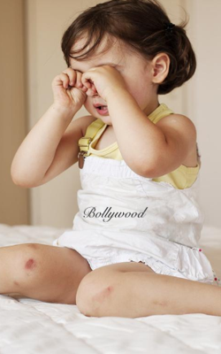 બોલીવુડ