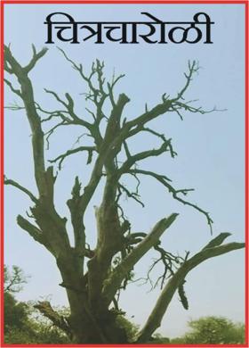 चित्रचारोळी