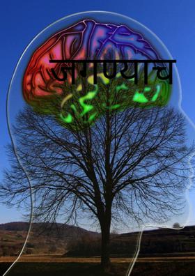 जगण्याचं