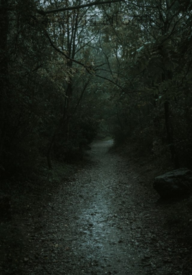 স্কন্ধ কাটার প্রতিশোধ