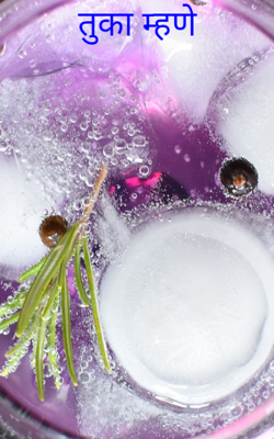 तुका म्हणे