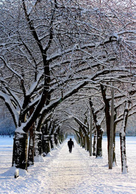 କବିତା * ପାଦ *