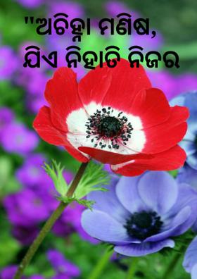 ଅଚିହ୍ନା ମଣିଷ, ଯିଏ ନିହାତି ନିଜର