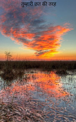 तुम्हारी छत की तरह