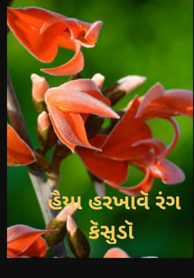 હૈયા હરખાવે રંગ કેસુડો