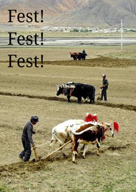 Fest! Fest! Fest!