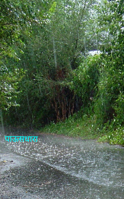 पाऊसधारा