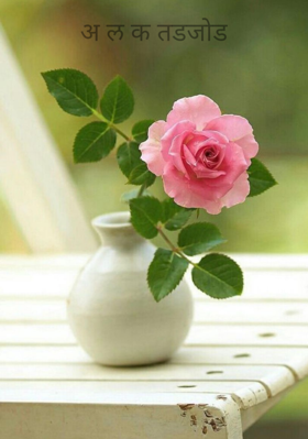 अ ल क तडजोड