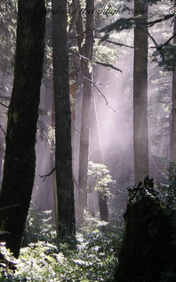 Shades of the twilight zone