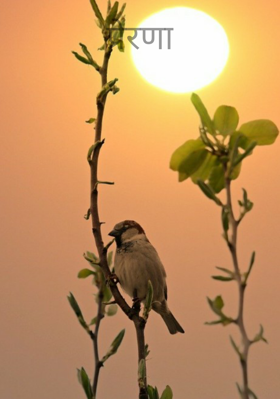 प्रेरणा