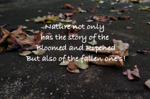 Nature not only 
has the story of the 
Bloomed and Ripened
But also of the fallen one's!



