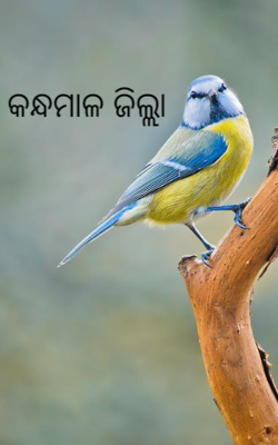 କନ୍ଧମାଳ ଜିଲ୍ଲା