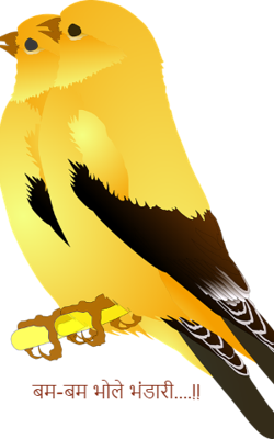 बम-बम भोले भंडारी....!!