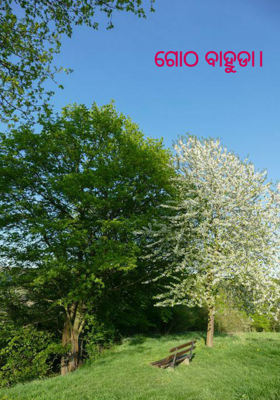 ଗୋଠ ବାହୁଡା।