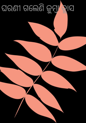 ଘରଣୀ ଗଲେଣି ଜୁମ୍ବା କ୍ଲାସ
