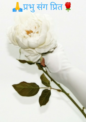 🙏प्रभु संग प्रित🌹