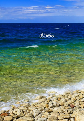 జీవితం