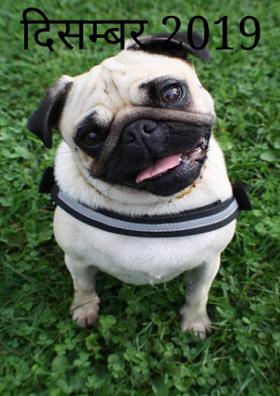 दिसम्बर 2019
