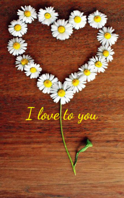 I Love To You