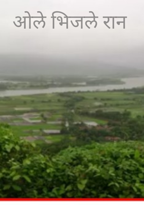 ओले भिजले रान