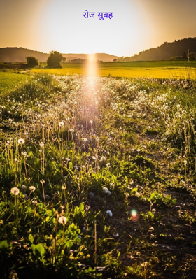 रोज सुबह
