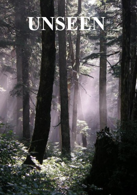 UNSEEN