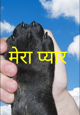 मेरा प्यार