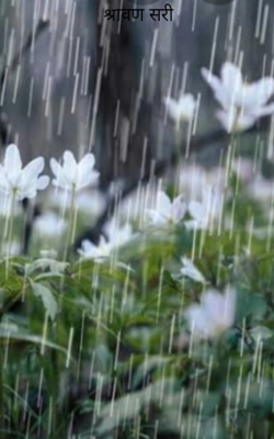 श्रावण सरी