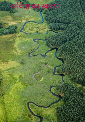 कविता का स्वरूप