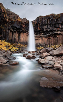 When The Quarantine Is Over