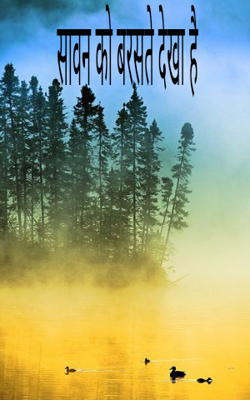 सावन को बरसते देखा है 