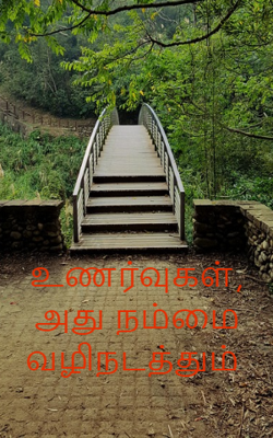 உணர்வுகள், அது நம்மை வழிநடத்தும்