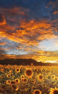 திருமந்திரம்