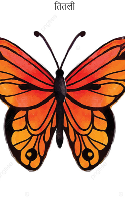 तितली