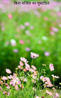 बिना मजिंल का मुसाफ़िर