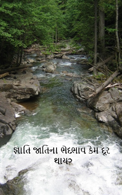 જ્ઞાતિ જાતિના ભેદભાવ કેમ દૂર થાય? 