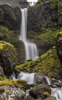 पर्यावरण रक्षण