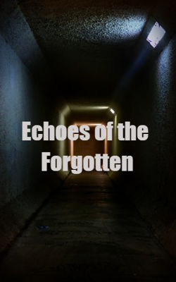 Echoes of the Forgotten